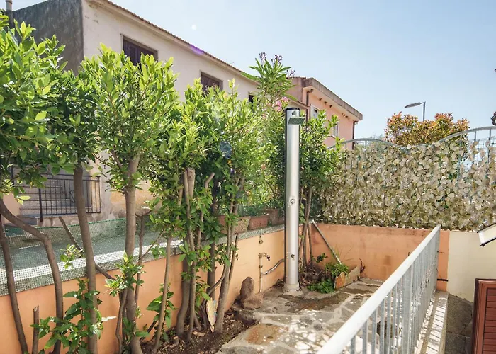 Welcomely - Petali Di Rosa - A Due Passi Dalla